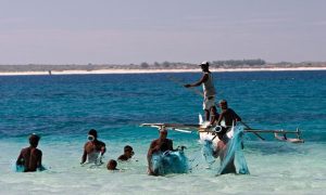 87% of adults among the Andavadoaka community in Madagascar are fishers; Photograph: Blue Ventures