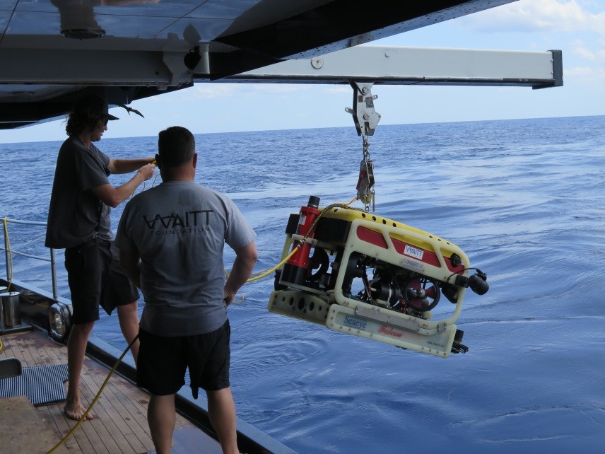Deploying the Falcon ROV at Pulley Ridge mesophotic reef,