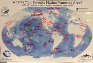 We asked IUCN World Conservation Congress participants where in the world their favorite MPA is and discussed what qualities make it fit for the Global Ocean Refuge System.