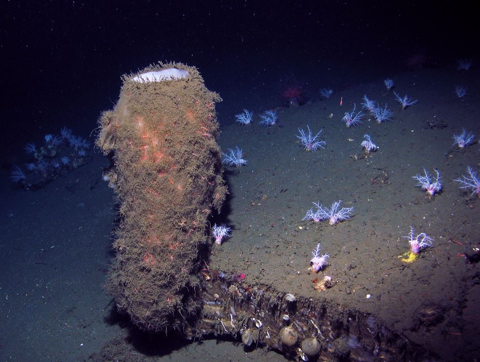 exploring the deep ocean